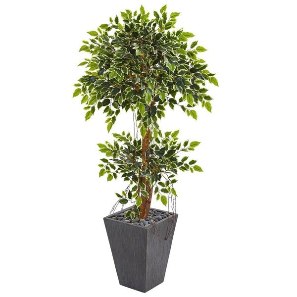 Nearly Naturals 5 in. Variegated Ficus Artificial Tree in Slate Planter 9387